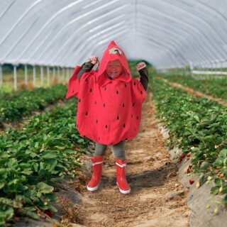 Poncho Kostüm – Paket – Erdbeere