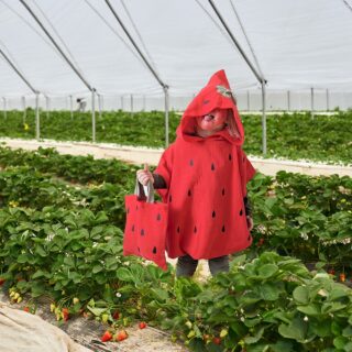 Poncho Kostüm – Paket – Erdbeere